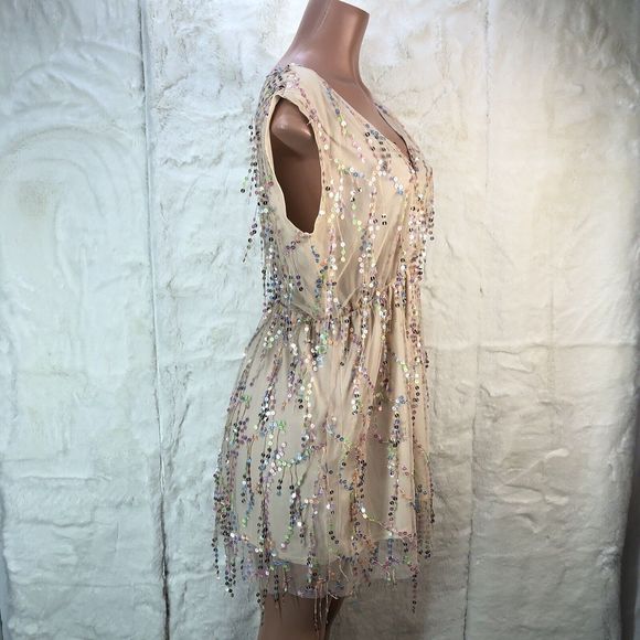Southern Fried Chics Mini Dress Womens XL  Beige Shimmy For Me Mesh Sequins - Picture 11 of 16